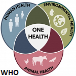 Addressing One Health in Nigeria; Challenges and Recommendations